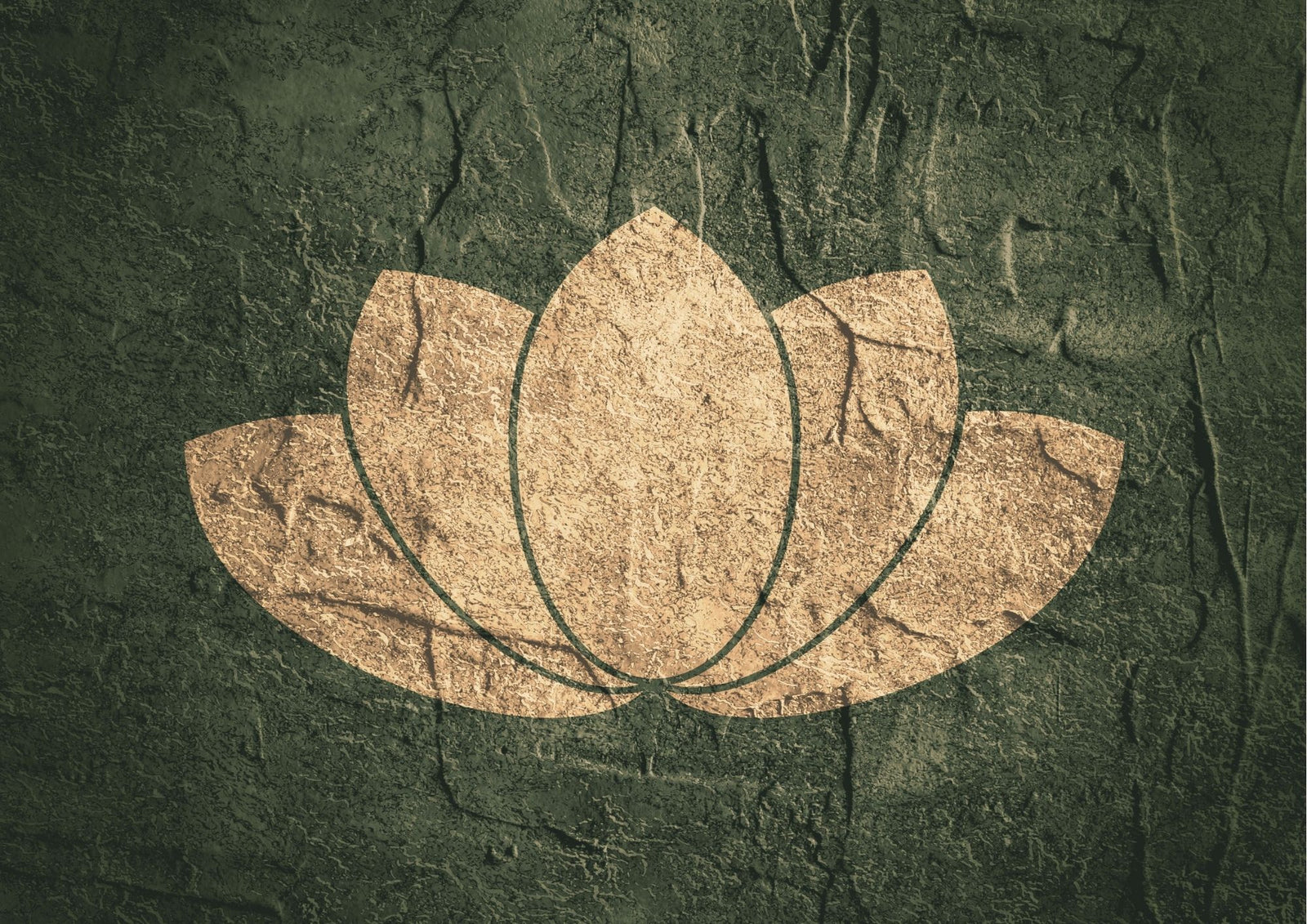 Que signifie la Fleur de Lotus ?