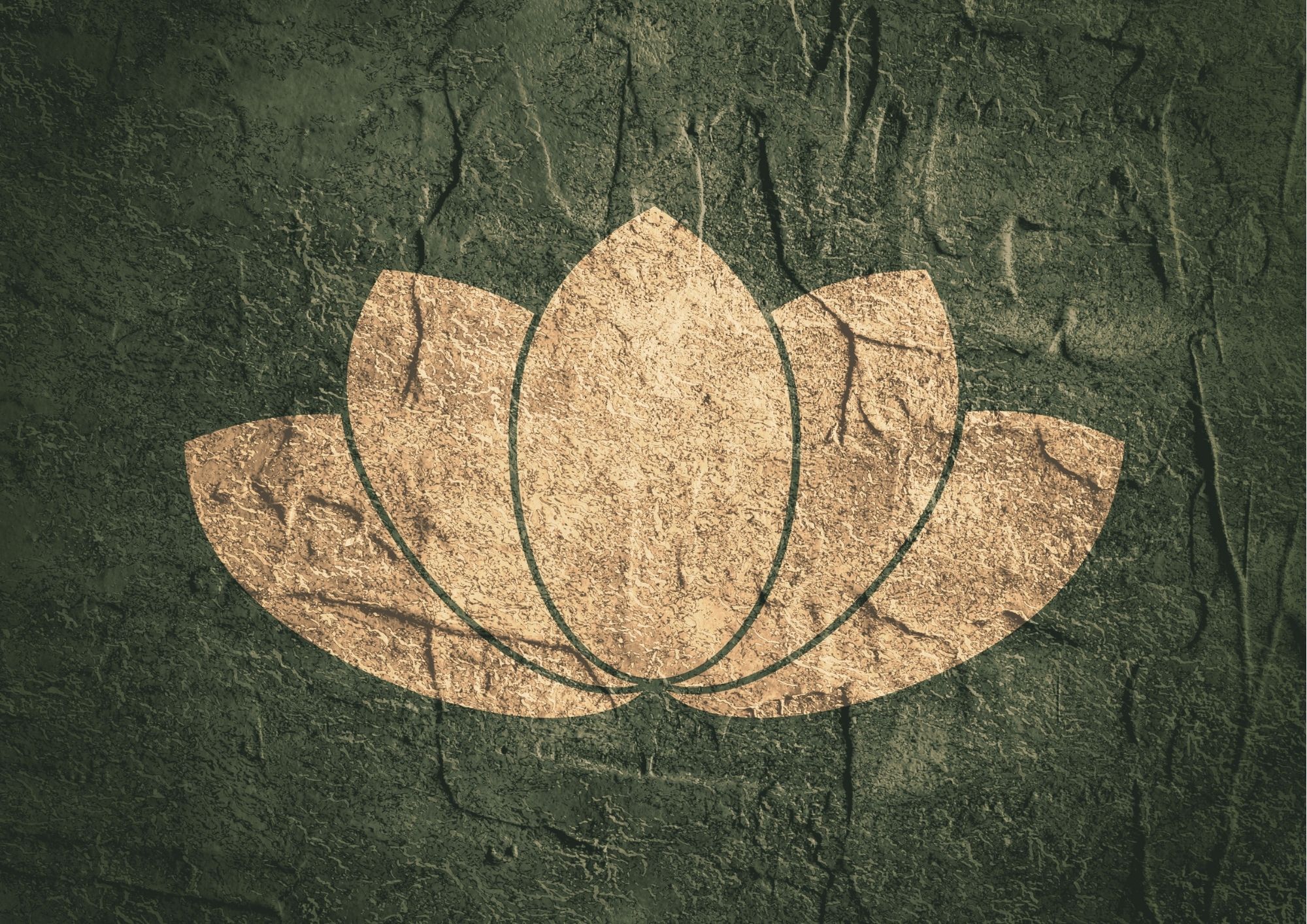 Fleur de lotus : origine, symbole et signification - Plaisir du Yoga
