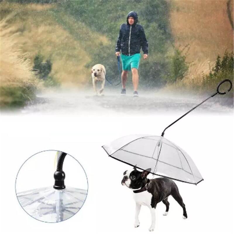 Parapluie pour chien pou mettre votre chien à l'abri des intempéries
